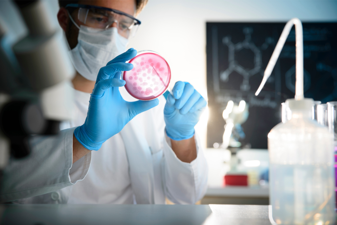 Food Microbiology Testing